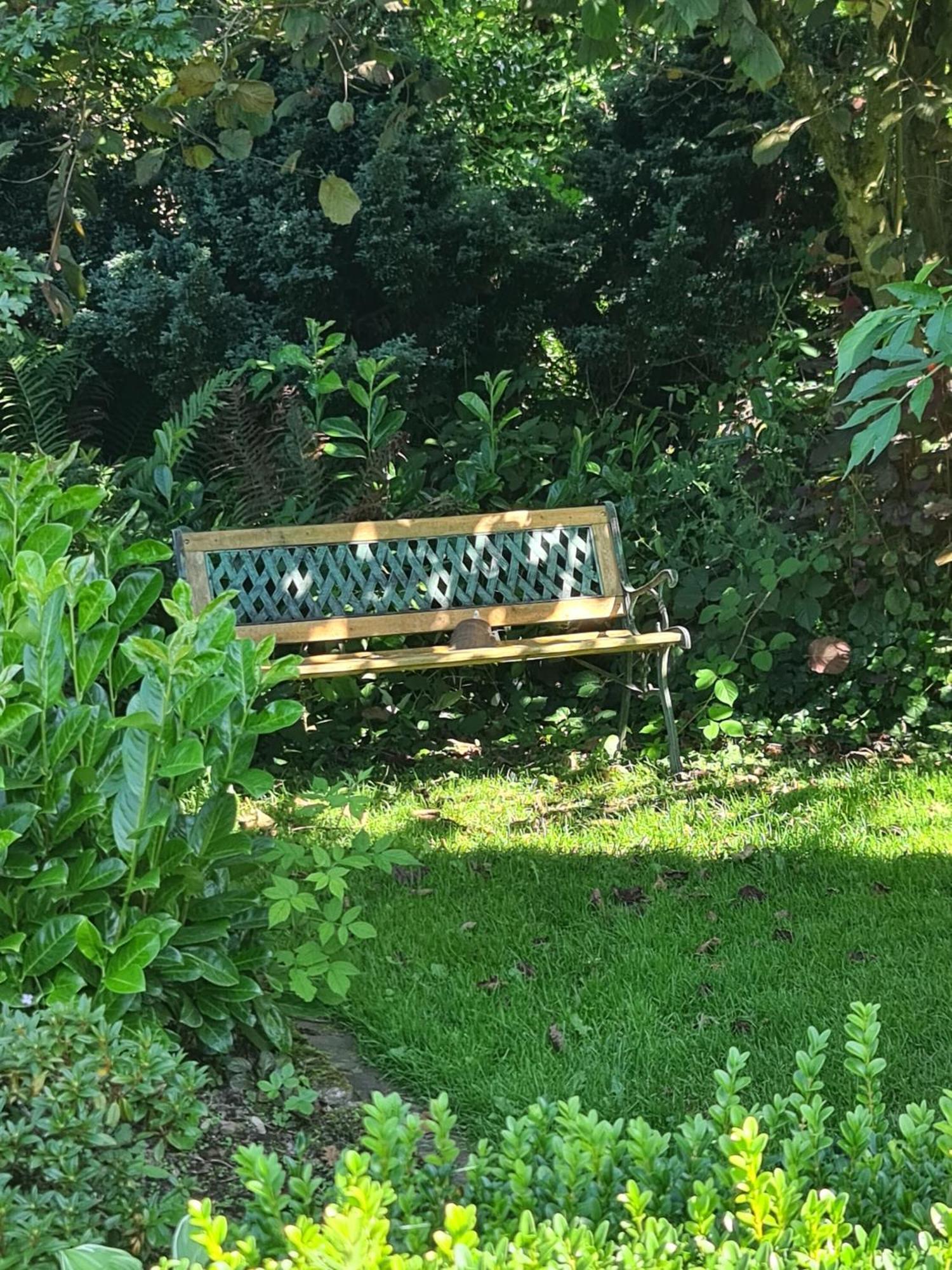 Bad Wünnenberg Haus Rosengarten Mit Sauna מראה חיצוני תמונה